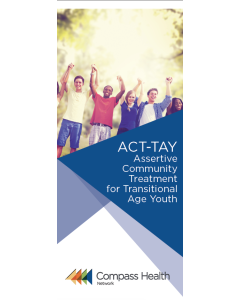 ACT-TAY Brochure