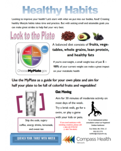 Healthy Habits Flyer