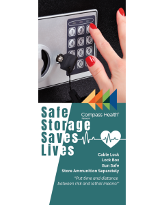 Safe Storage Saves Brochure