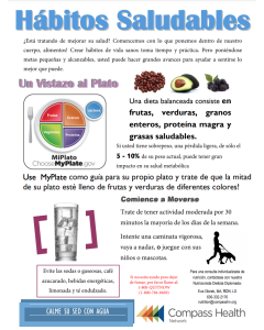 Healthy Habits Flyer Spanish