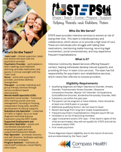 STEPS Fact Sheet Flyer